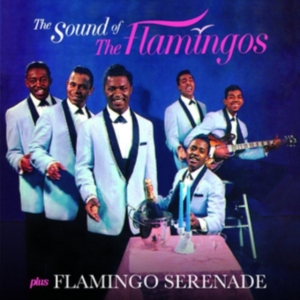 Flamingos - Sound Of The Flamingos/ Flamingo Serenade in the group CD / Pop-Rock at Bengans Skivbutik AB (3922589)