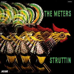 The Meters - Struttin' in the group OTHER / -Start MOV  at Bengans Skivbutik AB (3922642)