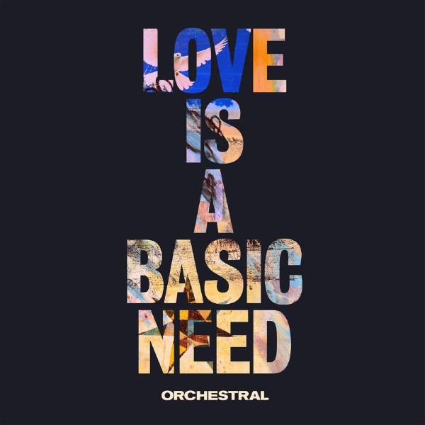 Embrace - Love Is A Basic Need (Orchestral) in the group VINYL / Rock at Bengans Skivbutik AB (3923494)