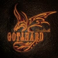 Gotthard - Firebirth in the group CD / Pop-Rock at Bengans Skivbutik AB (3924668)