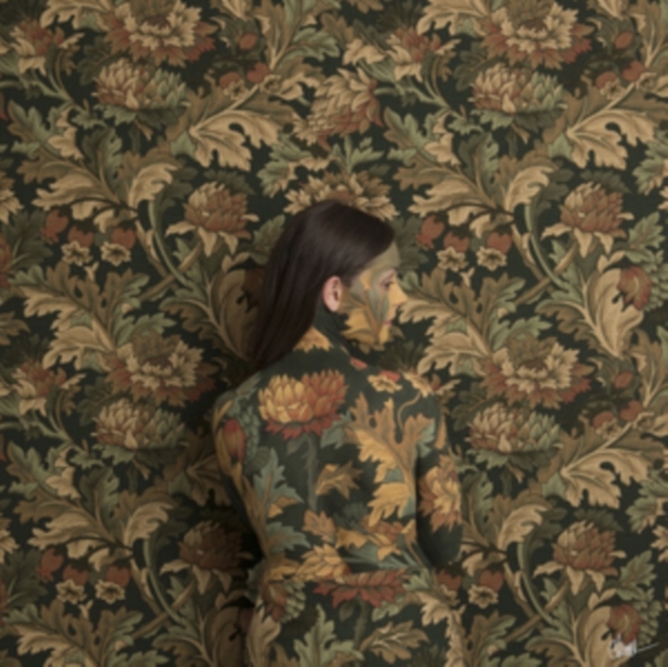 Honeyblood - In Plain Sight -Digi- in the group OTHER / Övrigt /  at Bengans Skivbutik AB (3925334)