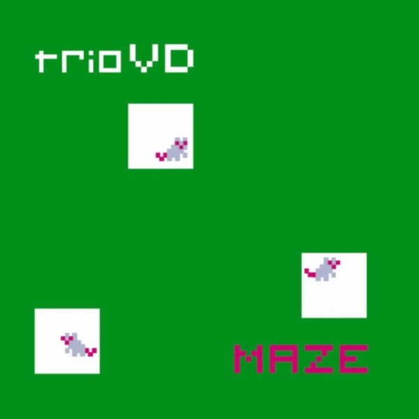 Triovd - Maze in the group CD / Jazz/Blues at Bengans Skivbutik AB (3925459)