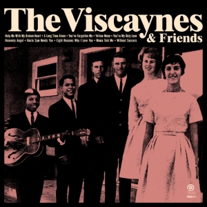 Viscaynes - Viscaynes & Friends in the group VINYL / Jazz,Pop-Rock,Övrigt at Bengans Skivbutik AB (3925625)