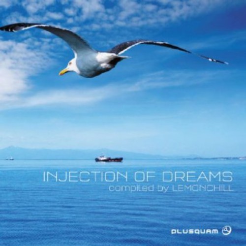 V/A - Injection Of Dreams in the group OTHER / Övrigt / at Bengans Skivbutik AB (3925925)
