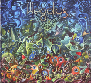 Aegolius - Moments Of Wonder in the group CD / Dans/Techno at Bengans Skivbutik AB (3926115)