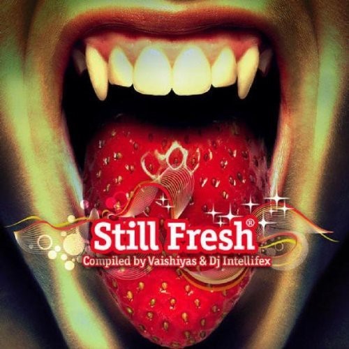 V/A - Still Fresh in the group CD / Dans/Techno at Bengans Skivbutik AB (3927112)
