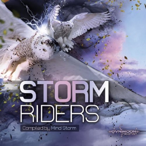 V/A - Storm Riders in the group CD / Dans/Techno at Bengans Skivbutik AB (3927165)