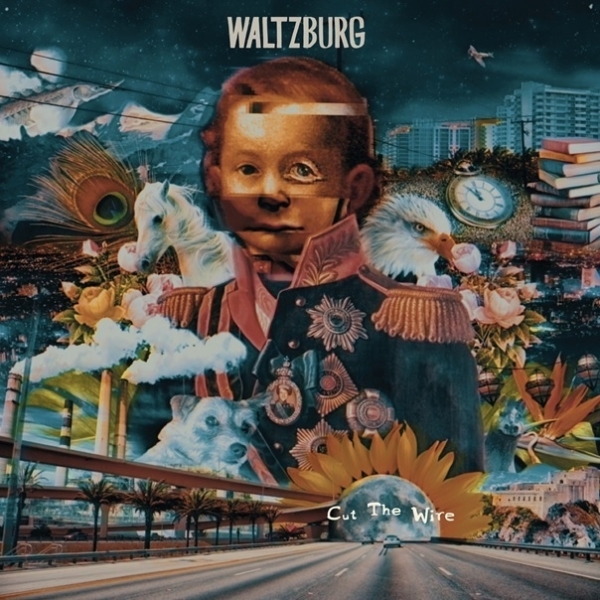Waltzburg - Cut The Wire in the group VINYL / Rock at Bengans Skivbutik AB (3927500)