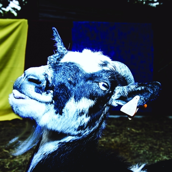 Barely Autumn - Day Trip To The Petting Zoo in the group CD / Bestsellers at Bengans Skivbutik AB (3927871)