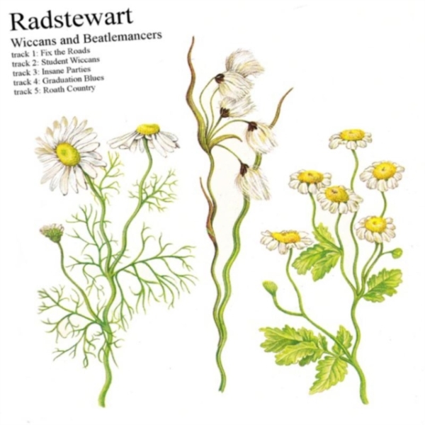Radstewart - Wiccans & Beatlemancers.. in the group OTHER / Övrigt / at Bengans Skivbutik AB (3927892)