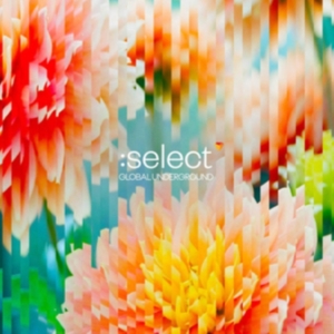 Various - Global Underground: Select #5 in the group CD / Dance-Techno at Bengans Skivbutik AB (3928092)
