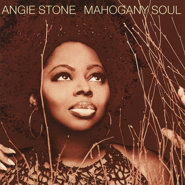 Angie Stone - Mahogany Soul in the group CD / RNB, Disco & Soul at Bengans Skivbutik AB (3928363)