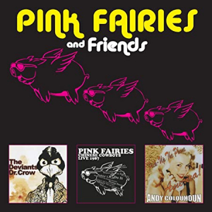 Pink Fairies - Pink Fairies And Friends in the group CD / Pop-Rock at Bengans Skivbutik AB (3928409)