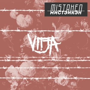 Vitja - Mistaken in the group OTHER / Övrigt /  at Bengans Skivbutik AB (3928725)