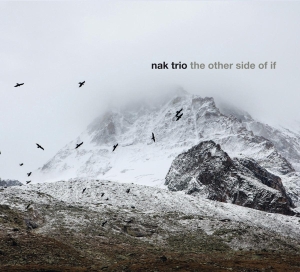 Trio Nak - Other Side Of If in the group CD / Jazz at Bengans Skivbutik AB (3928949)