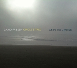 David -Circle 3 Trio- Friesen - Where The Lights Fall in the group CD / Jazz at Bengans Skivbutik AB (3929638)