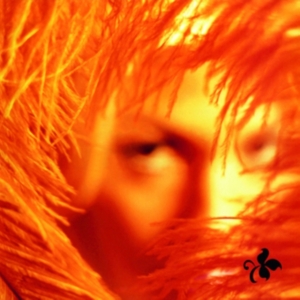 Stone Temple Pilots - Shangri-La Dee Da in the group VINYL / Pop-Rock at Bengans Skivbutik AB (3929785)