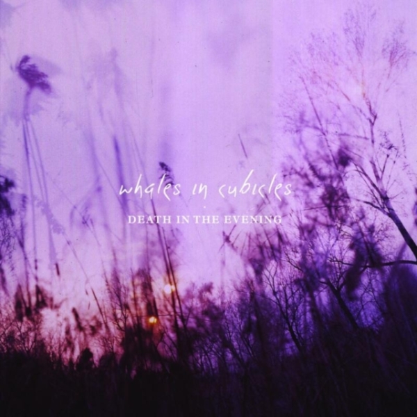 Whales In Cubicles - Death In The Evening in the group CD / Pop at Bengans Skivbutik AB (3930329)