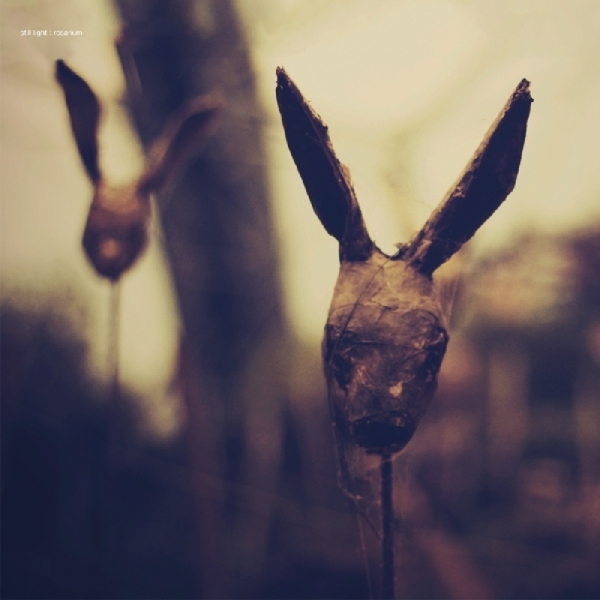 Still Light - Rosarium in the group CD / Rock at Bengans Skivbutik AB (3931719)
