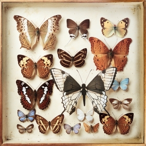 Emiliana Torrini - Rarities in the group CD / Pop-Rock at Bengans Skivbutik AB (3933235)