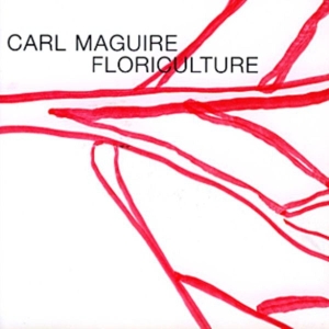 Maguire Carl - Floriculture in the group CD / Jazz at Bengans Skivbutik AB (3933511)