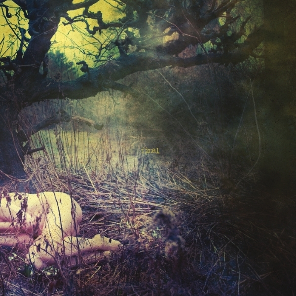 Final - Apple Never Falls Far From The Tree in the group VINYL / Pop at Bengans Skivbutik AB (3933832)