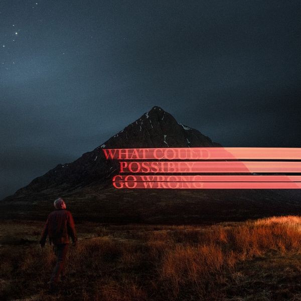 Dominic Fike - What Could Possibly Go Wrong in the group CD / Hip Hop at Bengans Skivbutik AB (3933963)