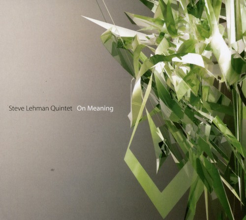 Lehman Steve - On Meaning in the group CD / Jazz/Blues at Bengans Skivbutik AB (3935370)