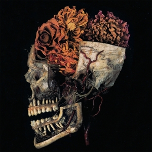 Kingdom - Hemeltraan in the group VINYL / Hårdrock/ Heavy metal at Bengans Skivbutik AB (3935540)