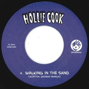 Hollie Cook - Walking In Sunshine in the group VINYL / Reggae at Bengans Skivbutik AB (3935549)