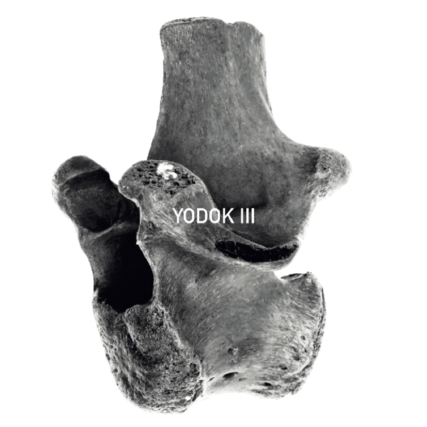 Yodok III - Yodok III in the group CD / Pop at Bengans Skivbutik AB (3936723)