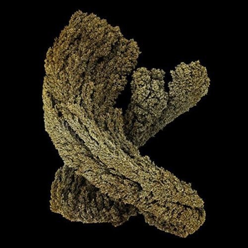 Max Cooper - Emergence -Digi- in the group CD / Dans/Techno at Bengans Skivbutik AB (3936850)
