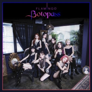 BOTOPASS - Flamingo in the group Minishops / K-Pop Minishops / K-Pop Miscellaneous at Bengans Skivbutik AB (3946415)