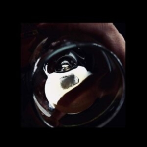 Forest Management - After Dark in the group VINYL / Pop-Rock at Bengans Skivbutik AB (3951147)