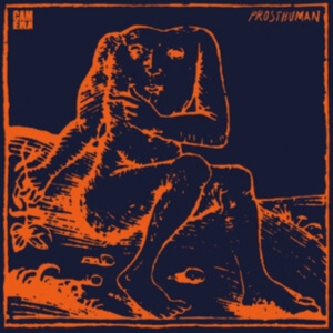 Camera - Prosthuman in the group VINYL / Pop-Rock at Bengans Skivbutik AB (3957175)