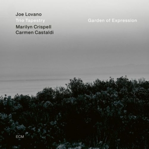 Joe Lovano Trio Tapestry - Garden Of Expression in the group Externt_Lager /  at Bengans Skivbutik AB (3957429)