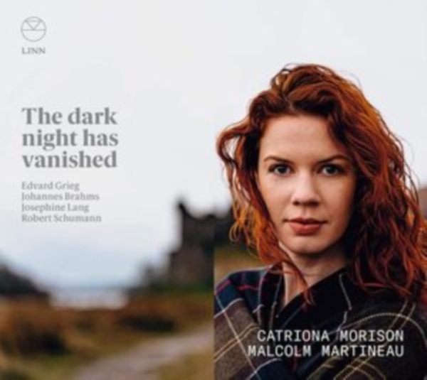Various - The Dark Night Has Vanished in the group Externt_Lager / at Bengans Skivbutik AB (3957463)