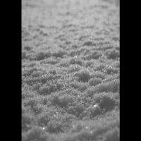 Paysage D'hiver - Schnee (A5 Digibook) in the group OUR PICKS / Friday Releases / Friday the 27th of september 2024 at Bengans Skivbutik AB (3961444)