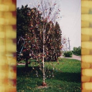 Kraus - A Golden Brain in the group VINYL / Pop-Rock at Bengans Skivbutik AB (3962180)