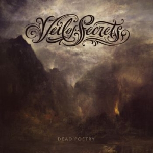 Veil Of Secrets - Dead Poetry (Galaxy Effect Vinyl) in the group VINYL / Hårdrock/ Heavy metal at Bengans Skivbutik AB (3962349)