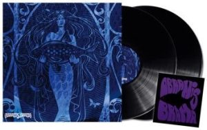 Abramis Brama - Enkel Biljett (2Lp Black) + Patch in the group VINYL / Hårdrock/ Heavy metal at Bengans Skivbutik AB (3963797)