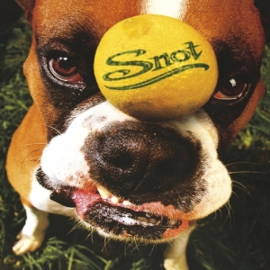 Snot - Get Some in the group CD / Pop-Rock at Bengans Skivbutik AB (3963873)