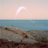 Jenkins Cassandra - An Overview On Phenomenal Nature in the group VINYL / Bestsellers at Bengans Skivbutik AB (3965381)