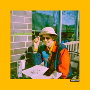 Gallo Ron - Peacemeal in the group VINYL / Pop-Rock at Bengans Skivbutik AB (3968006)