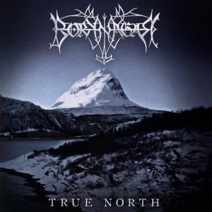 Borknagar - True North in the group OTHER / Övrigt /  at Bengans Skivbutik AB (3968360)