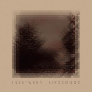 Gusset Matthias - Inbetween Birdsongs in the group VINYL / Upcoming releases / Worldmusic at Bengans Skivbutik AB (3971135)