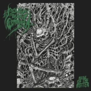 House By The Cemetary - Rise Of The Rotten in the group CD / Hårdrock at Bengans Skivbutik AB (3976129)