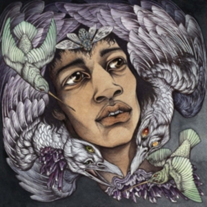 Various Artists - Best Of James Marshall Hendrix (Red in the group CD / Hårdrock at Bengans Skivbutik AB (3976390)