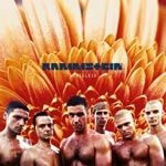 Rammstein - Herzeleid in the group CD / Hårdrock,Pop-Rock at Bengans Skivbutik AB (3976755)