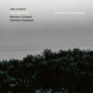 Joe Lovano Trio Tapestry - Garden Of Expression (Vinyl) in the group OTHER / CDV06 at Bengans Skivbutik AB (3976780)
